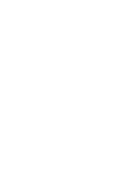 Q&A